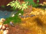 Wildlife Camp: In the Heart of Africa
