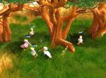 Wildlife Camp: In the Heart of Africa