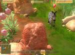 Wildlife Camp: In the Heart of Africa