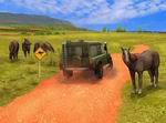 Paws & Claws Pet Vet: Australian Adventures
