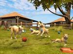Paws & Claws Pet Vet: Australian Adventures