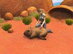 Paws & Claws Pet Vet: Australian Adventures