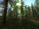 3D Hunting 2010