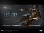 Harry Potter and the Deathly Hallows: Part 1