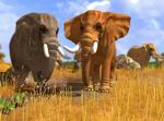 Wildlife Park 3