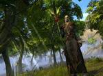 Rift: Planes of Telara