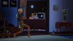 The Sims 3: Generations