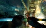 Shadow Warrior
