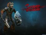 Shadow Warrior