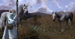The Lord of the Rings Online: Riders of Rohan