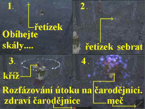 0000000484_n03.jpg (85895 bytes)