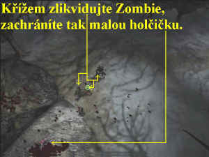 0000000485_n01.jpg (64932 bytes)