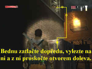 0000008288_n02.jpg (64238 bytes)