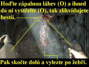 0000008981_n04.jpg (87273 bytes)