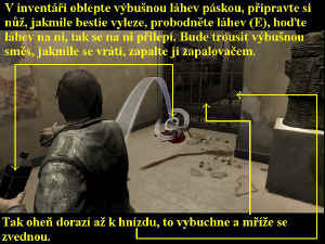 0000008981_n06.jpg (94306 bytes)