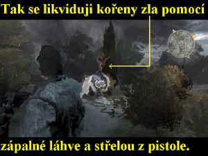 0000008981_n09.jpg (65131 bytes)