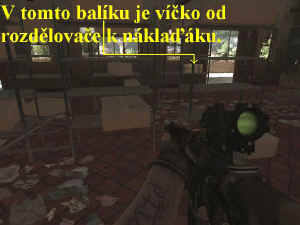 0000010052_n06.jpg (60969 bytes)