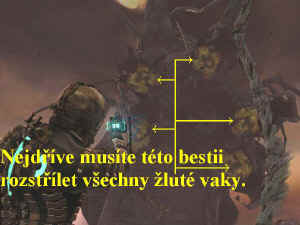 0000010542_n05.jpg (60029 bytes)