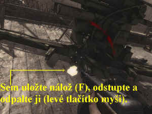 0000010721_n02.jpg (66194 bytes)